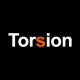 Torsion logo